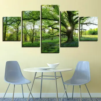 ירוק עצי יער הטבע יערות הגשם שמש הדפסי בד ציור קיר אמנות HD להדפיס תמונות פוסטר עיצוב הבית לא ממוסגר