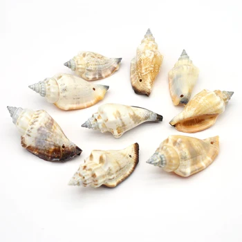 30Pcs טבעי החוף הקונכיה אגרוף צדפות ים פגז חרוזים ליצירת תכשיטים DIY-שרשרת אביזרים בעבודת יד מלאכת יד הסיטוניים