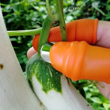 חוות ירקות פירות בורר מלפפון חמוץ פלפל חמוץ טיפ בורר ברזל מסמר לבחור מטע וירקות תיקון יליאנית עבור גן